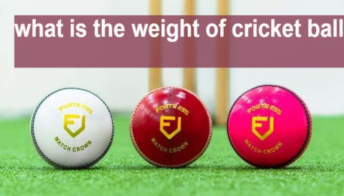 What is the weight of cricket ball