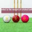 what is the weight of cricket ball